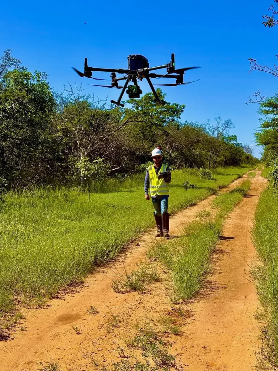 Fiscalização ambiental